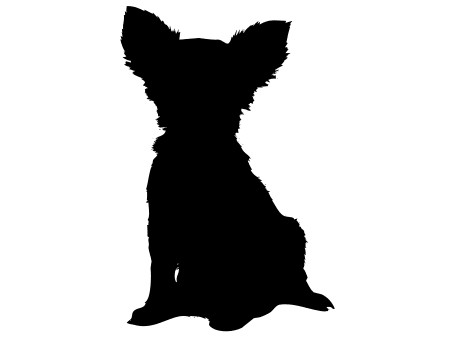 預かったチワワが死亡、ごまかすためアパートに放火　懲役５年