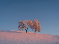 苗字を選択できなかったのは、私が初めて直面した「女性だから」の壁