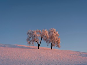 苗字を選択できなかったのは、私が初めて直面した「女性だから」の壁