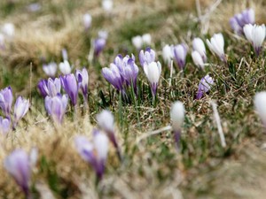 「他人より弱い自分が恥ずかしい」　私は違うはずだと思い込んで