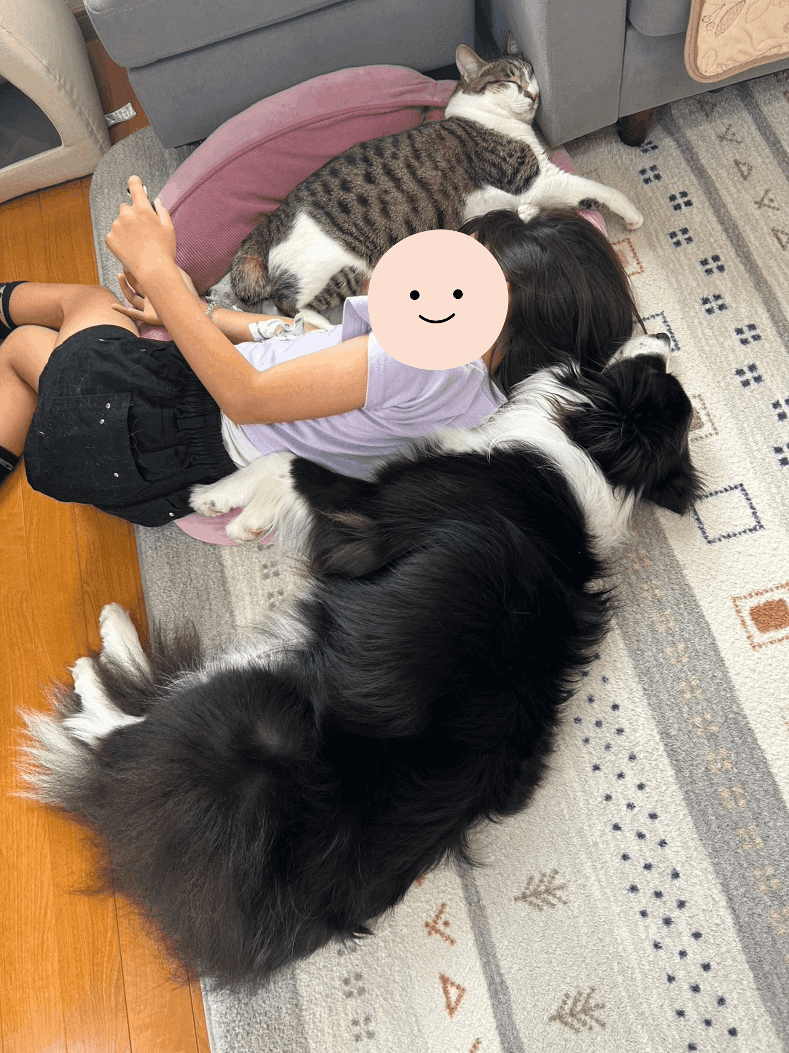 「いつもみんなでゴロゴロしてます」（提供：ボーダーコリーしずくさん）