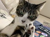 早よ寝ろ（by ハチミツ）