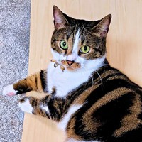 「まさかの“部首ポーズ”!？」しじみくんの全身を見るとーー（画像提供：すずきさん）