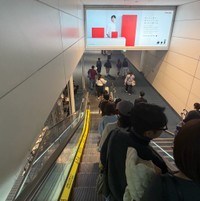 これが朝の羽田空港名物？（投稿者提供）