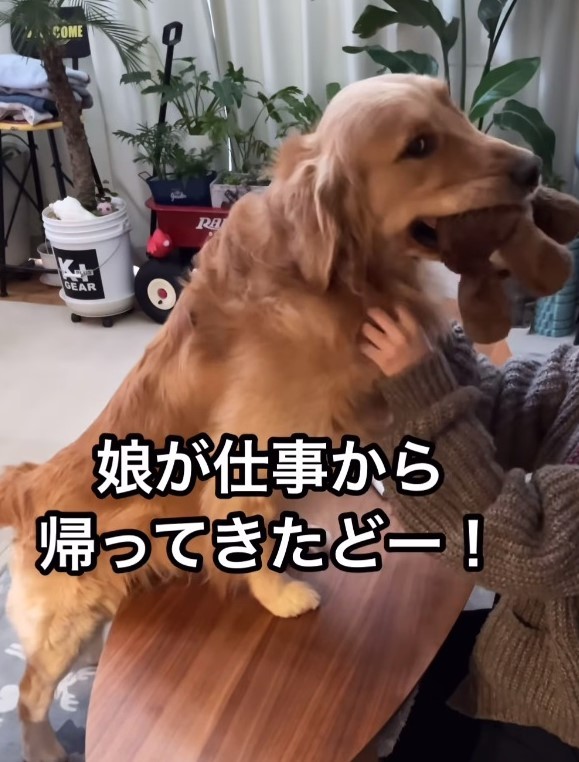 好きが爆発！娘さんが仕事から帰ってきて興奮するトノさん（飼い主のママさん提供、Instagramよりキャプチャ撮影）