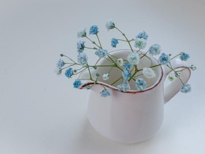 思い出が染みこんだ白衣を着て、今日もシフトを入れた過去の私を恨む