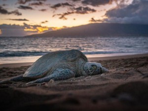 女子校歴10年の私に娘がいたら「男女社会の雰囲気を学べ！」と言う