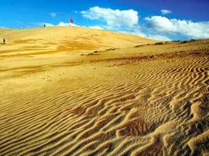 【鳥取編】不思議な体験、そこここに　文芸評論家・斎藤美奈子