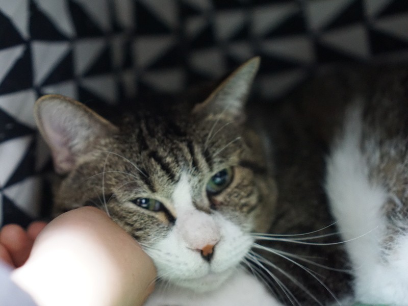 「俺決めた。長生きしようっと」