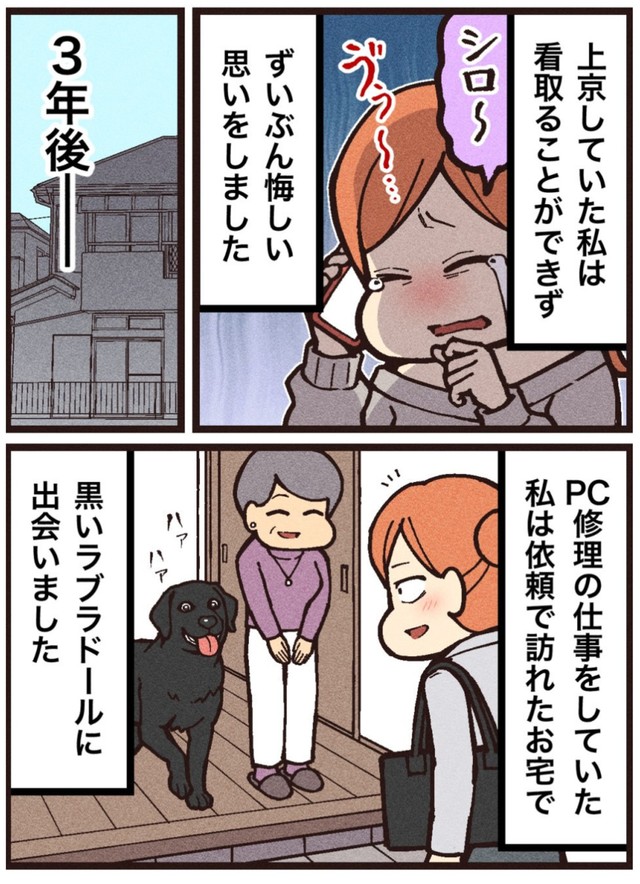【漫画】『シロという名の犬』4（大友しゅうまさん提供）
