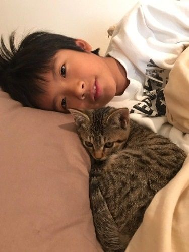 朝まで一緒に寝たいけど、出ていっちゃう～（提供写真）