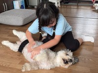 お姉ちゃんにお腹をなでなでされるつんちゃん（画像提供：つんこむさん）