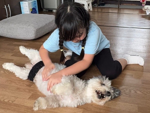 お姉ちゃんにお腹をなでなでされるつんちゃん（画像提供：つんこむさん）