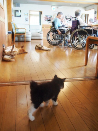 サロン入り口で、きらら先輩を発見して、ちょっとビビる。