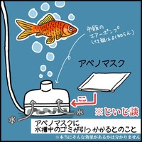 【漫画】『アベノマスク〇〇枚ゲットした父』9（みたんさん提供）