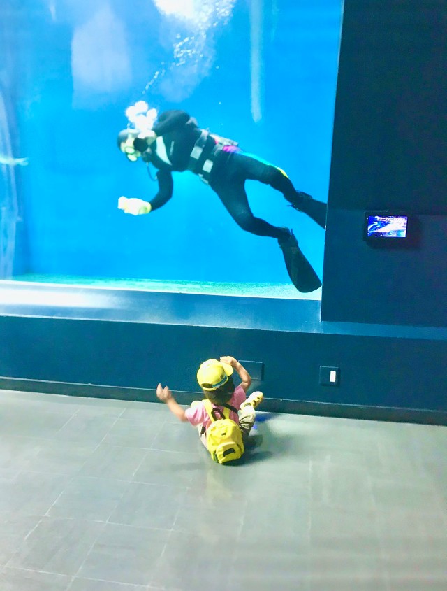 びっくりして腰が抜けてしまった当時2歳の息子さん（提供画像）