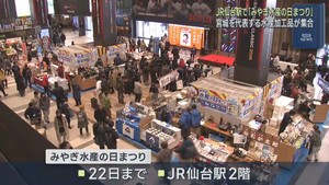 宮城県の水産加工品が並ぶ　みやぎ水産の日まつり