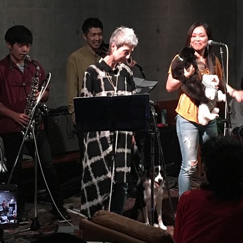 最後は犬たちもオンステージ！