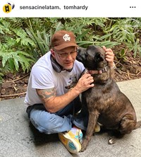 保護犬への支援活動の様子を伝えるトム・ハーディ＝自身のインスタグラム（tomhardy）より