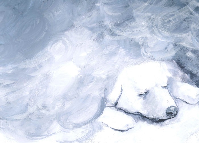 絵本「ねえ、だれかおしえて」（愛育出版）から