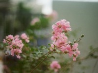 「寂しくなるね」初めての引越し。いつも寡黙な父がこぼした一言