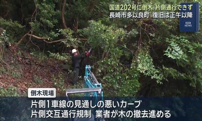 倒木 長崎市多以良町の国道202号に倒木 片側通行できず 復旧は正午以降(9