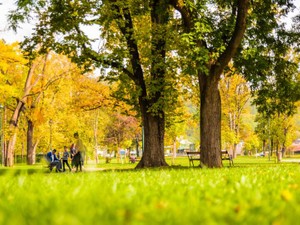 いつもと違う休日が好きな旦那へ。「いつもと同じ」休日も愛してほしい