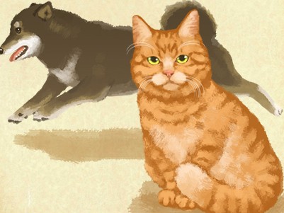 旬の食材を上手にとってペットも飼い主も健康に　犬・猫の中医学