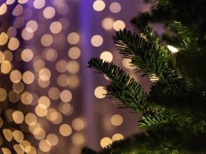 終わった恋の思い出は、街に刻まれて。そして始まった恋のこれからも