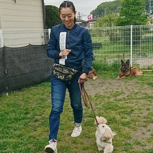 教室（Ｄｏｇ Ｃｕｌｔｕｒｅ ＷＩＳＨ）でトレーニング中のハニーパン。「治療と、精神面肉体面（体全体）に働きかけるケアと訓練で劇的に変化しました」と環奈さん。