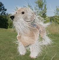 神々しい...神様になった段階も