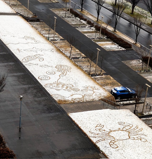 たくさんの魚たちが描かれています♡かわいい…！