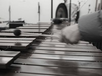 体育館の重い扉が開いた瞬間、襲い掛かったあの音に一目惚れした