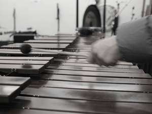 体育館の重い扉が開いた瞬間、襲い掛かったあの音に一目惚れした