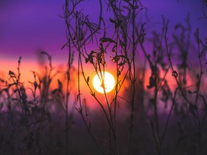 突然初恋の人に振られた。彼はずっと私の親友のが好きだった