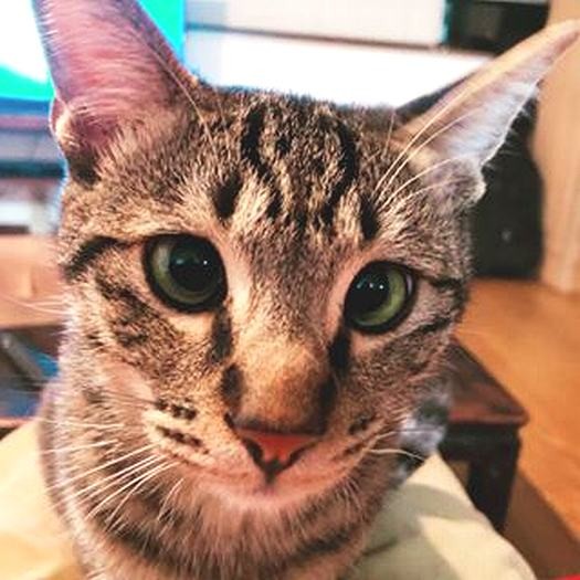 ちょっと真面目な顔もしてみた