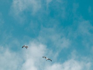 尊重し合う関係に憧れた。世界のどこかでまた会える気がする仲間達