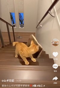 あっ…！まさか…（TikTokよりスクショ）