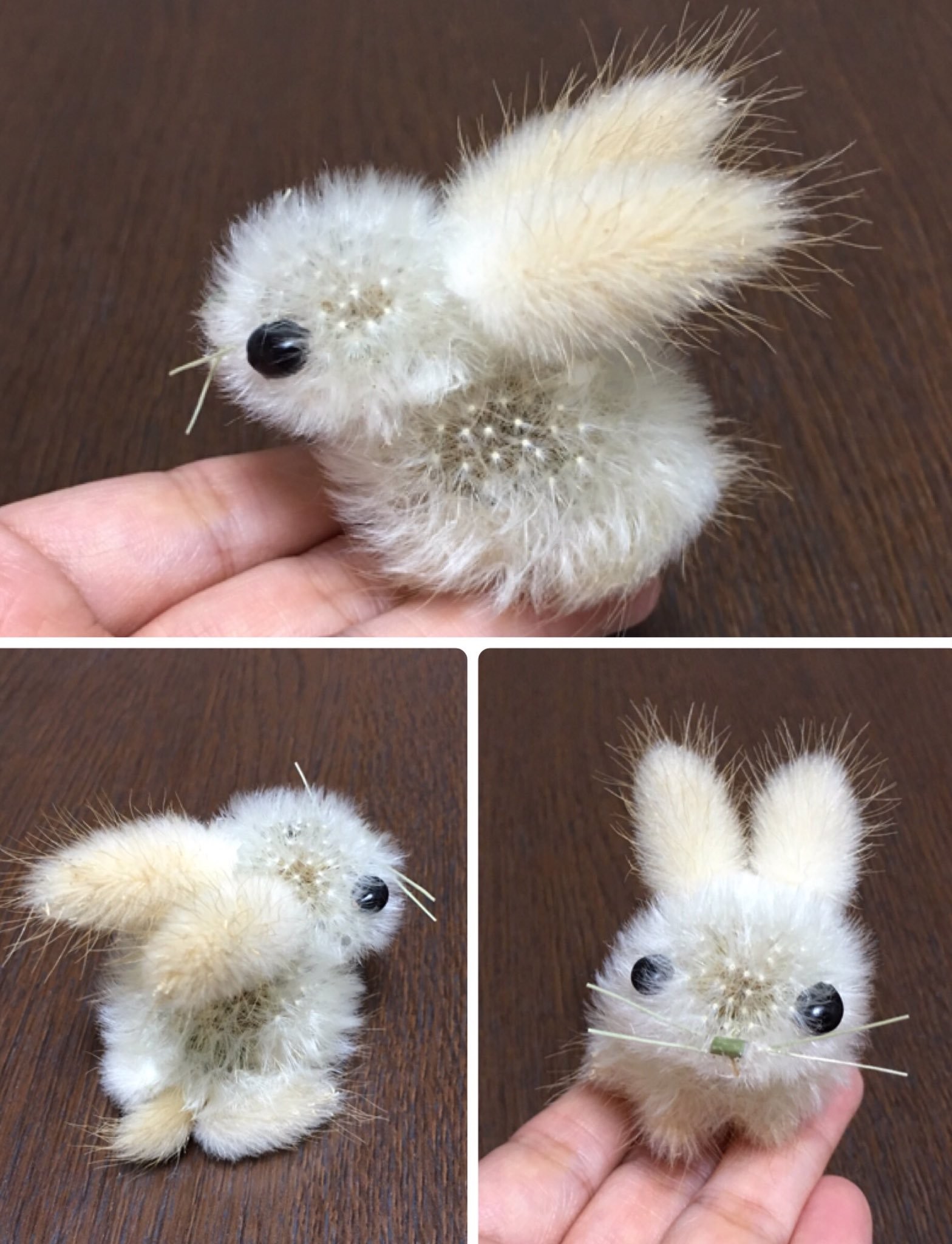 胸がキュンとなる」ふわふわウサギ 主婦がタンポポの綿毛で作っていた