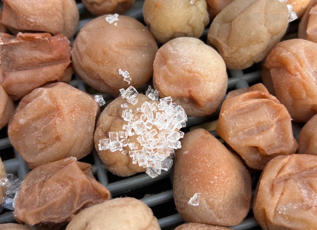 一つの梅干しに結晶がぎっしり