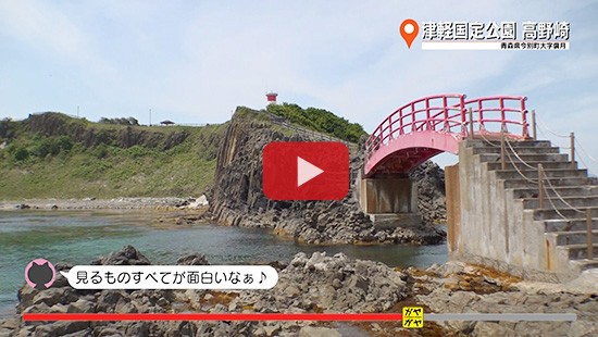 #344津軽国定公園 高野崎①