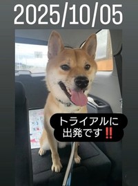 龍くんを保護したmeguさんは、片道4時間以上かかる京都のSetsukoさん夫婦を里親に選んだ（meguさん提供、Instagramよりキャプチャ撮影）