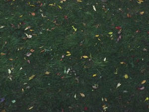 ローンもあるのに恋人も仕事も失った。これ以上失うものはそうそうない