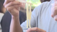 資料　讃岐うどん