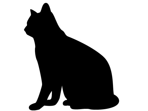 猫虐待や殺害のようすを動画で投稿　実刑求める署名２２万筆