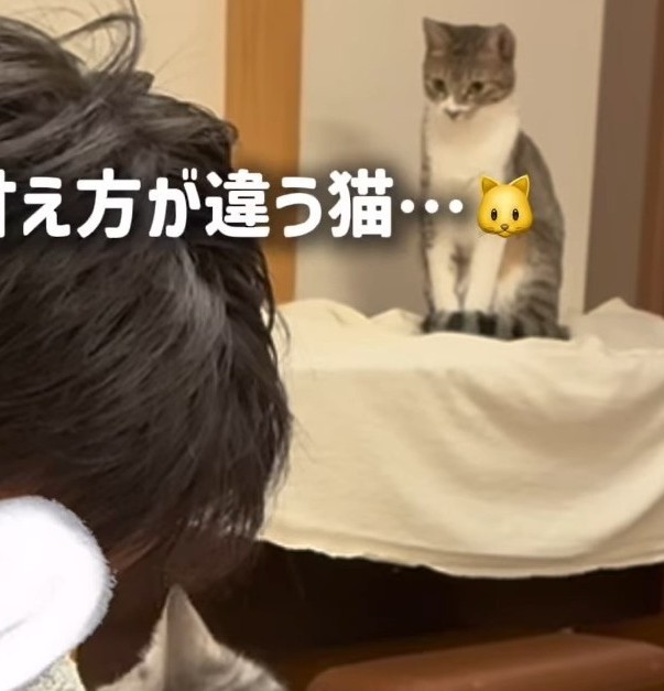 そんなふたりを遠くから見つめるはなちゃん（ろくはなさん提供、Instagramよりキャプチャ撮影）