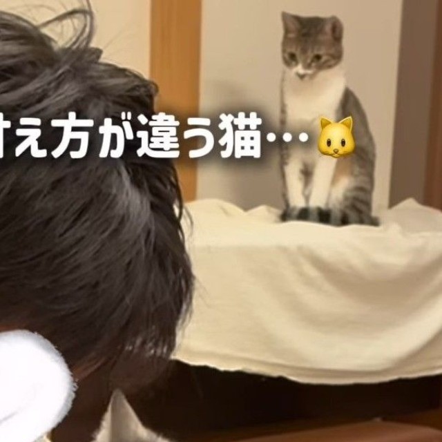 そんなふたりを遠くから見つめるはなちゃん（ろくはなさん提供、Instagramよりキャプチャ撮影）