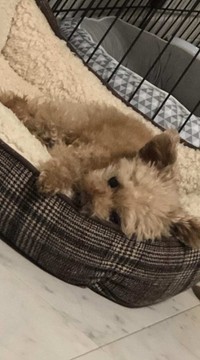 さやかちゃんと一緒に過ごせた日々は大切な宝物