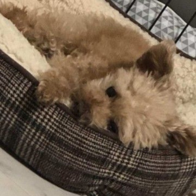 さやかちゃんと一緒に過ごせた日々は大切な宝物
