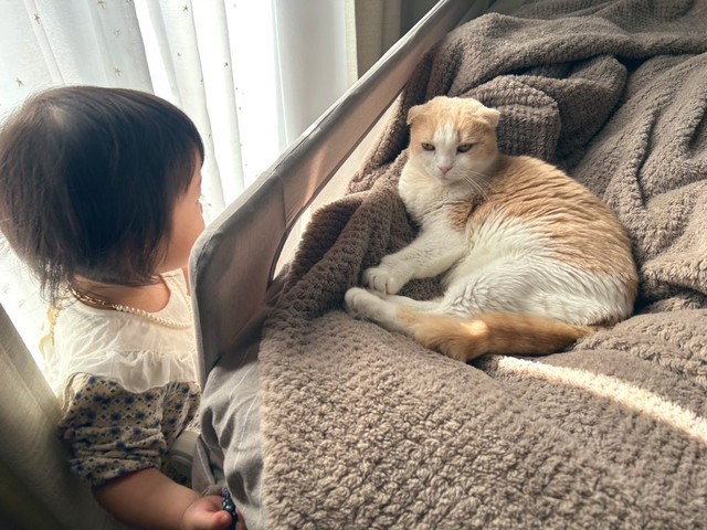 あいたいね（飼い主さん提供）